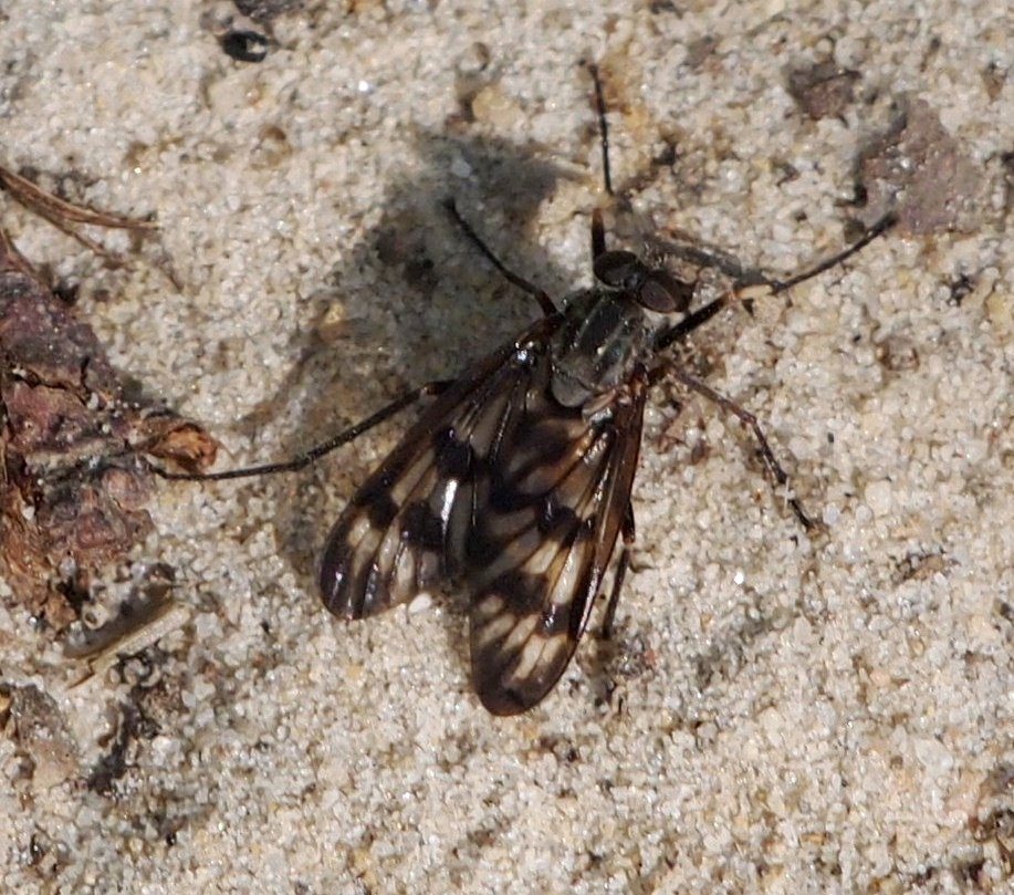 April 2012 Photos